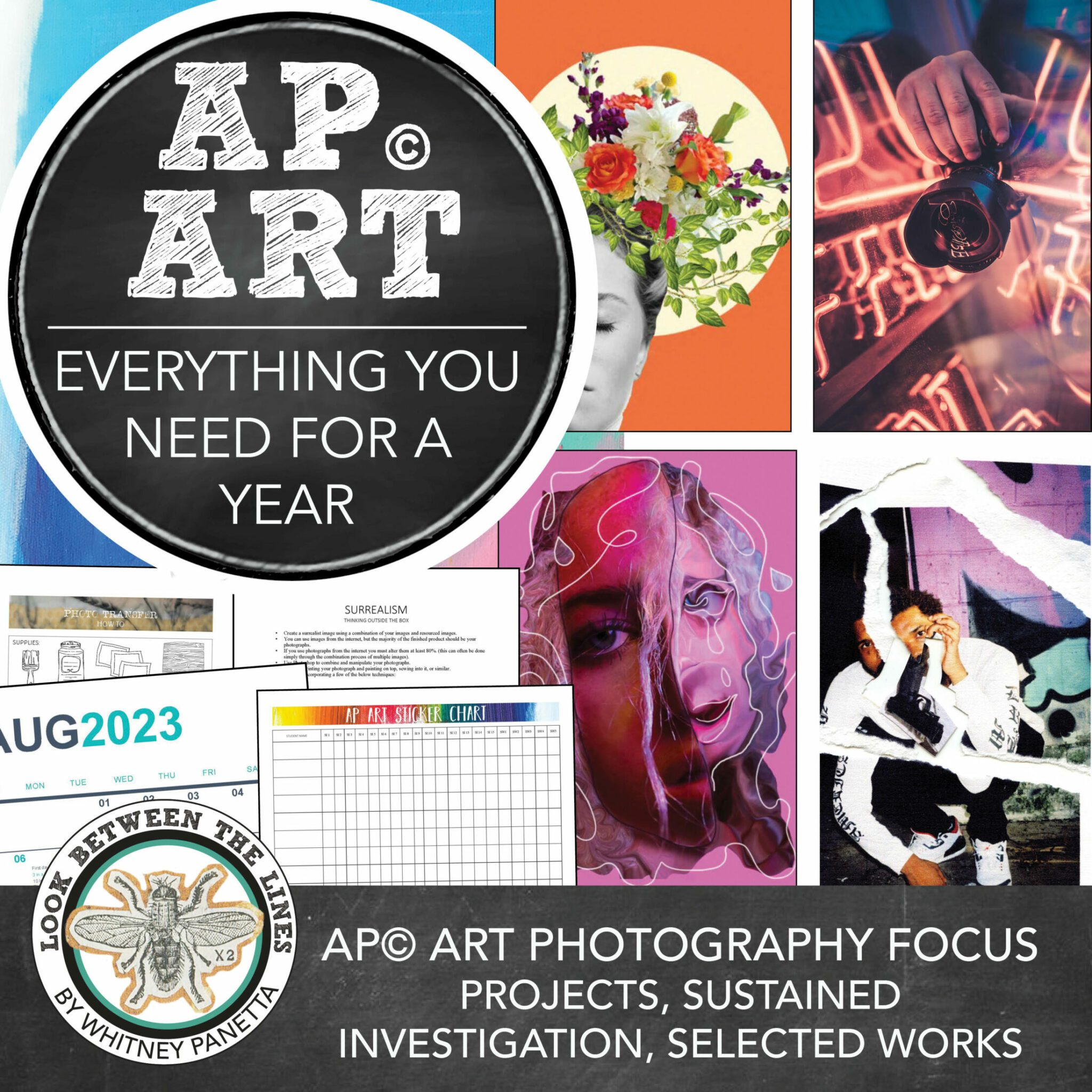 AP Photography, AP© Art & Design Focused Year Course: Projects ...