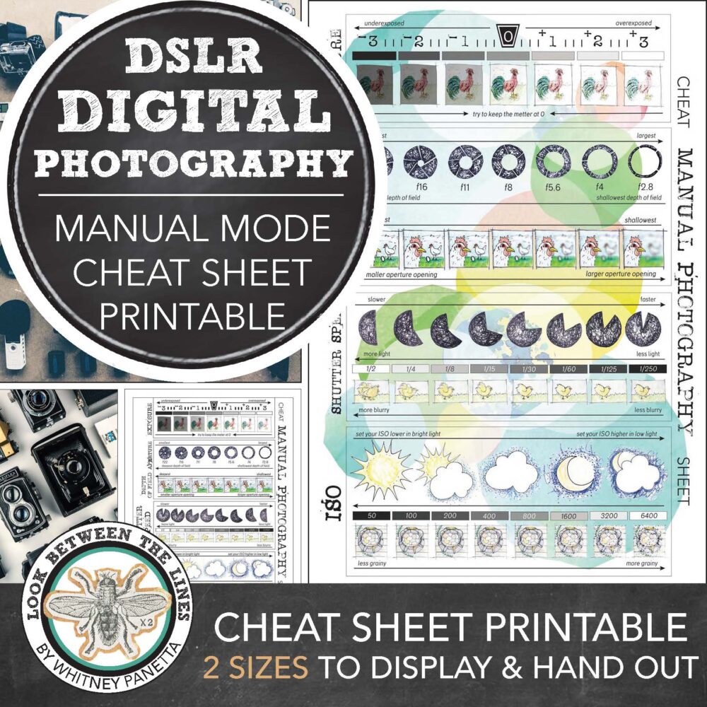 Manual mode cheat sheet thumbnail