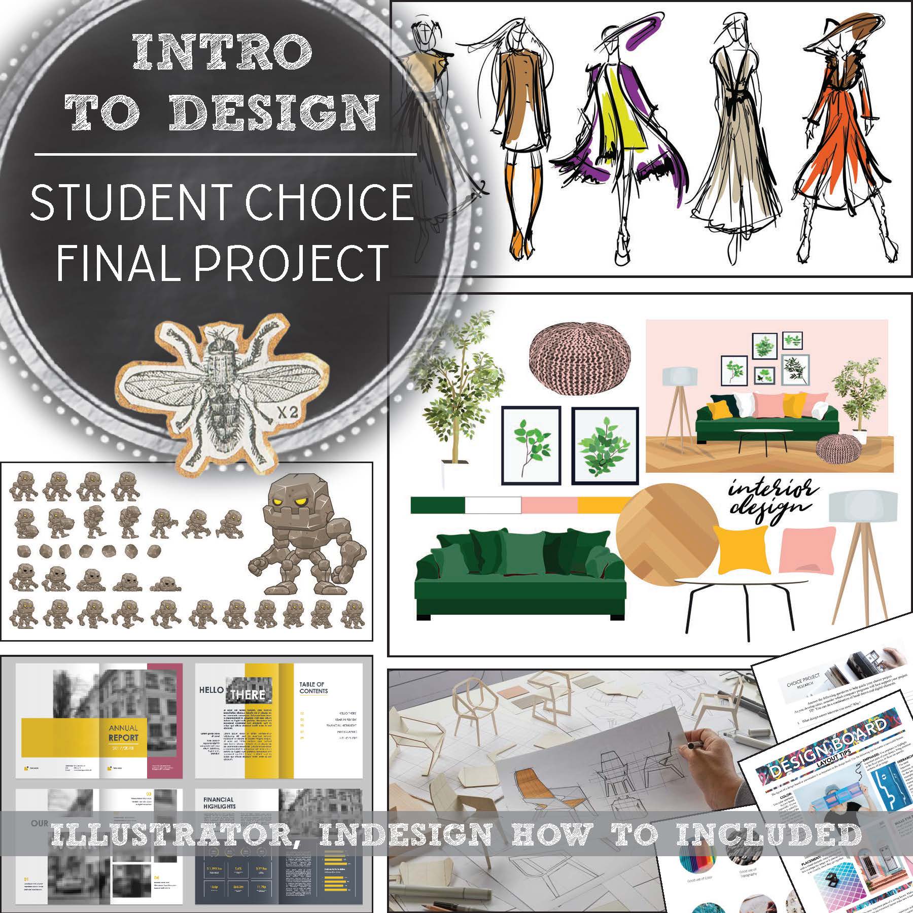 Design Choice Final Project: Intro to Design Class